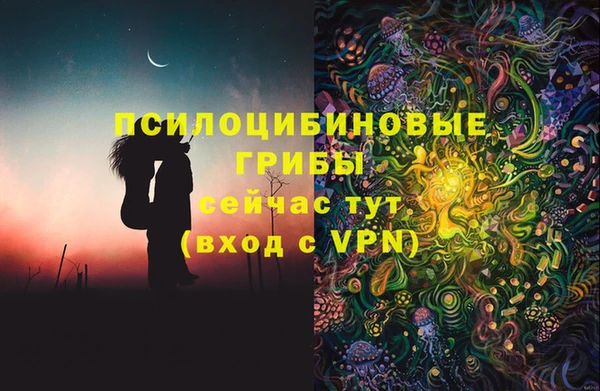 a pvp Заводоуковск