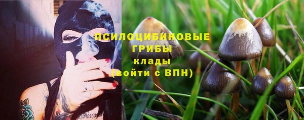2c-b Алексеевка