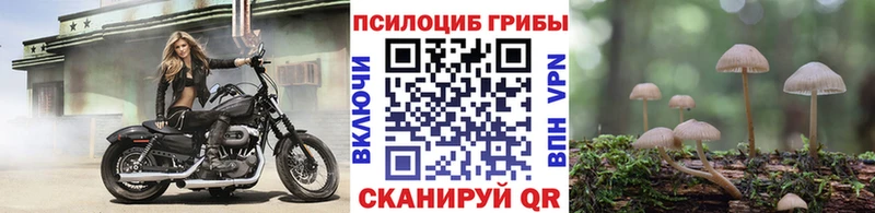 Галлюциногенные грибы Magic Shrooms  Нелидово 